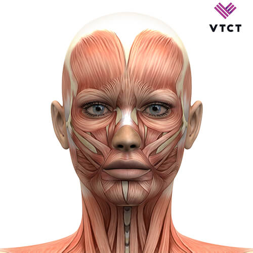 VTCT Level 4 Award in Laser & Light Treatments for Skin Rejuvenation