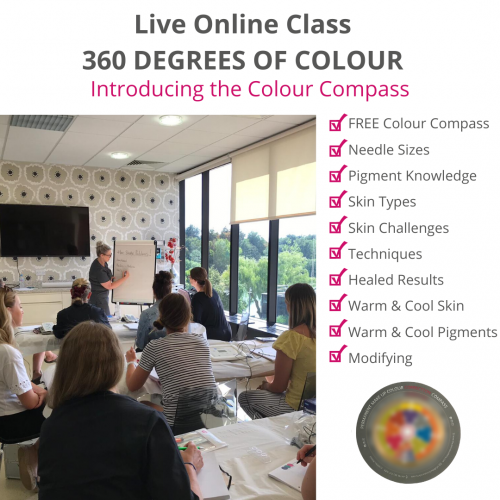 Live Online Colour Theory Class + FREE COLOUR COMPASS