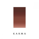 Ever After Pigment - Karma 15ml